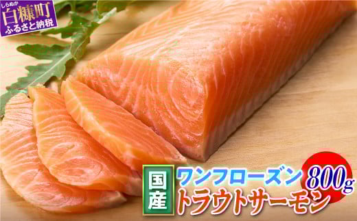 国産ワンフローズントラウトサーモン【800g】_T011-1232北海道白糠町11000魚介・海産物鮮魚