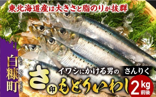 さ印さんりく もどりいわし【2kg前後】※9月下旬〜11月中旬まで、入荷次第順次発送_I010-0397-2009北海道白糠町10000魚介・海産物鮮魚