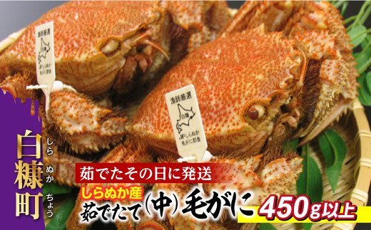 しらぬか産 茹でたて中サイズ毛がに【450g以上】_I027-0563北海道白糠町27000魚介・海産物カニ