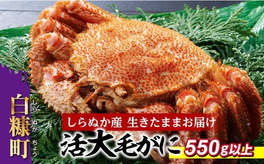 しらぬか産 活大サイズ毛がに【550g以上】_I053-0560北海道白糠町53000魚介・海産物カニ