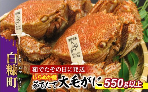しらぬか産 茹でたて大サイズ毛がに【550g以上】_I070-0561北海道白糠町70000魚介・海産物カニ