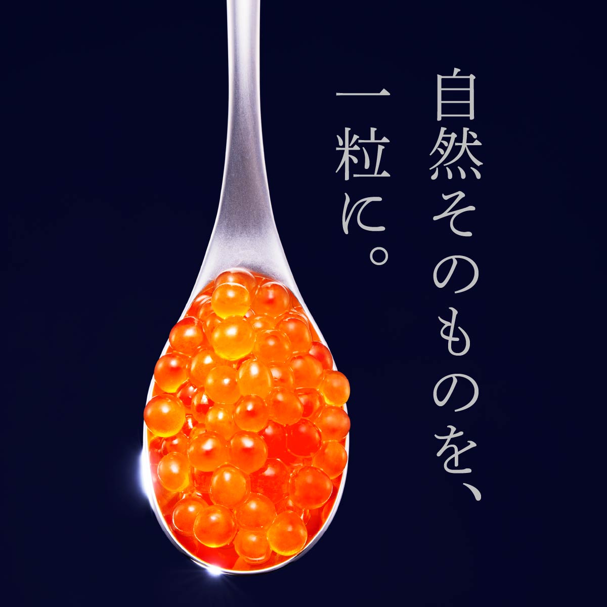 VJ(ݖ)y1kg(250g×4)zƂ炱y1kgz̃Zbg_I071-1075-60DAYSkCf71000ECY