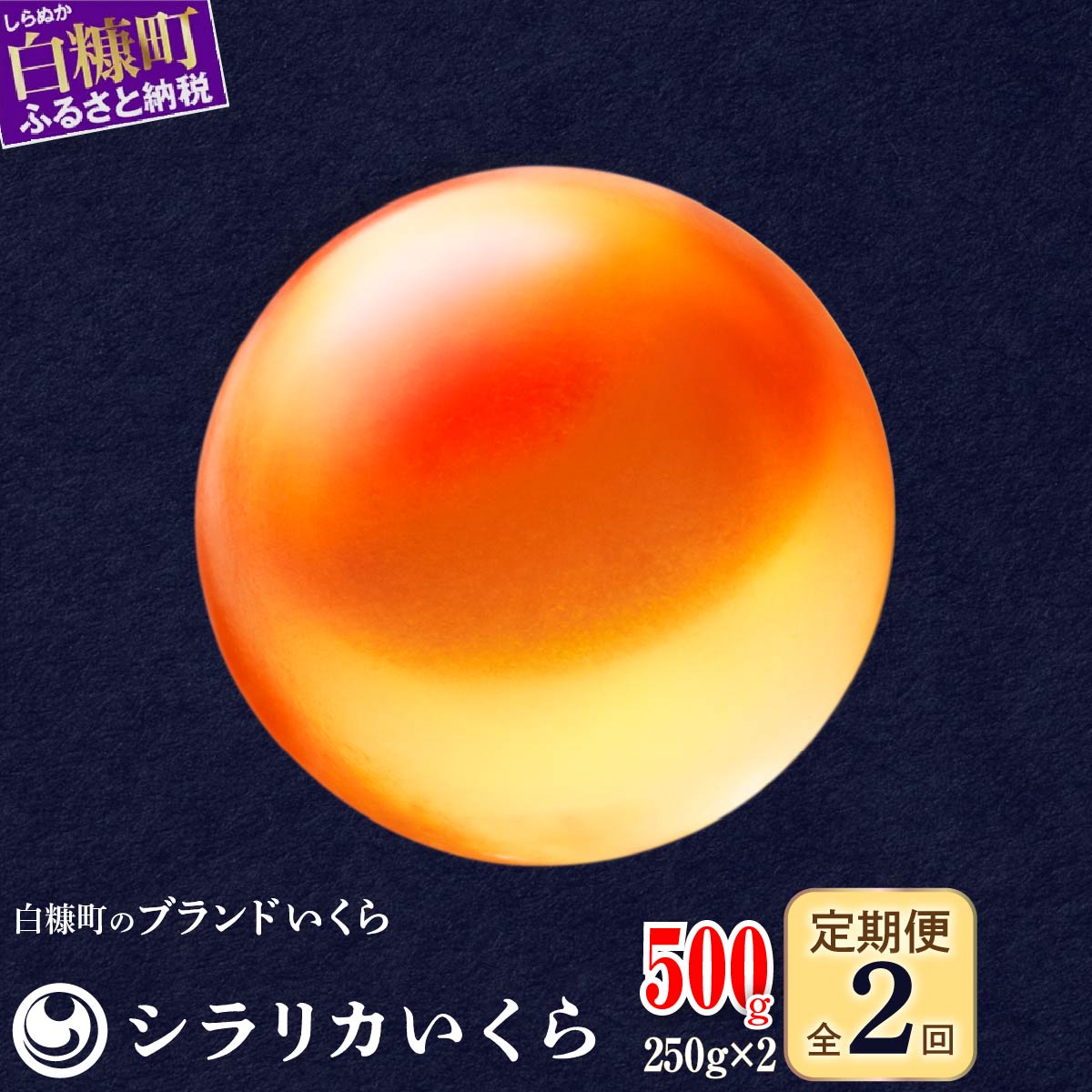 年2回お届け定期便 シラリカいくら(生いくら)【500g(250g×2)】_K062-0921北海道白糠町62000魚介・海産物いくら