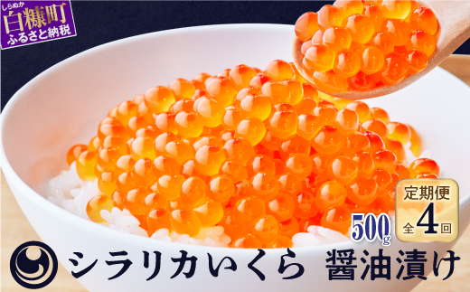 年4回!シラリカいくら(醤油味)定期便【500g(250g×2)×4回】_K116-1041北海道白糠町116000魚介・海産物いくら