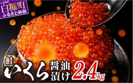 ݖЍ 2.4kg(200g×2pbN×6)  CN  ݖ  CN CNݖ ݖЂ CNݖЂ   ikura ݖ ݖ ݖCN