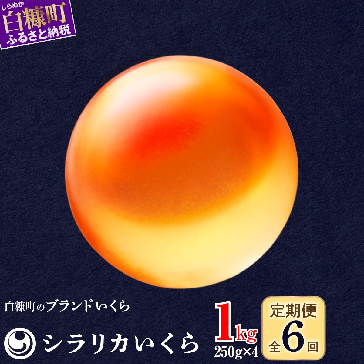 年6回お届け定期便 シラリカいくら(生いくら)【1kg(250g×4)】_K366-0928北海道白糠町366000魚介・海産物いくら