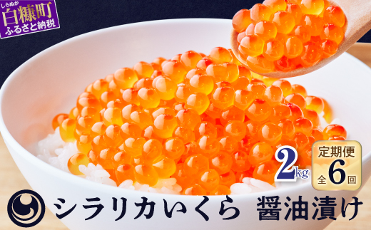 N6!VJ(ݖ)ցy2kg(250g×8)×6z_K660-1046kCf660000ECY