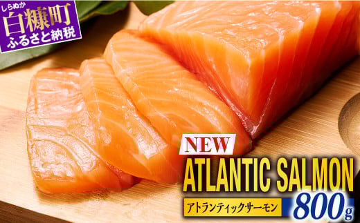 yTOWA SALMONzAgeBbN T[ y800gz T[  VP Ⴏ sake Jpb` \e[ AXe[L lC  喞   Hp hg hg hg 