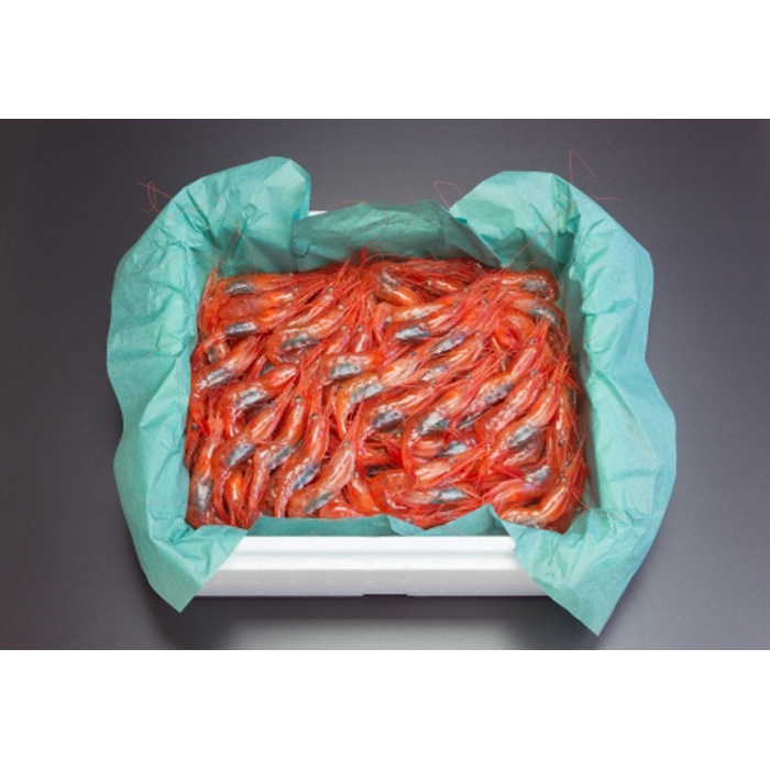 【にいがたフード・ブランド】 生鮮 南蛮海老 約500g新潟県14000魚介・海産物鮮魚