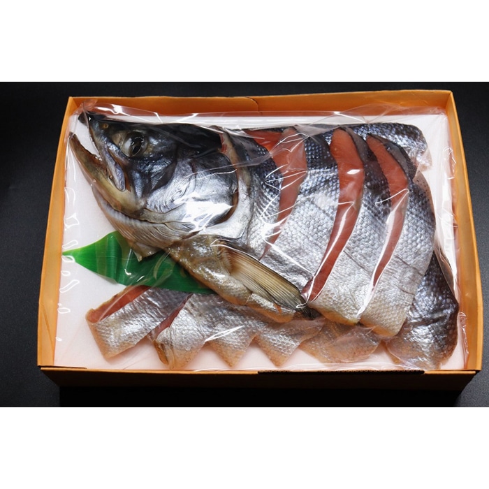 村上名産塩引き鮭 半身姿 約900g 新潟県 新潟 鮭新潟県28000魚介・海産物鮮魚