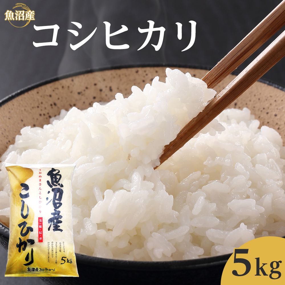 令和7年産魚沼産コシヒカリ 5kg 2025年10月〜発送開始|新潟県 魚沼 こしひかり 令和7年産新潟県21000米・パン白米