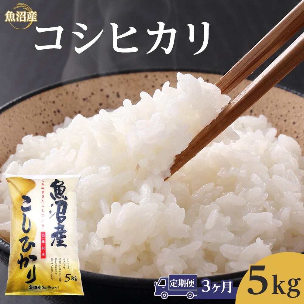 【3ヶ月定期便】令和7年産魚沼産コシヒカリ 5kg  2025年10月〜発送開始|新潟県 魚沼 こしひかり 令和7年産新潟県63000米・パン白米
