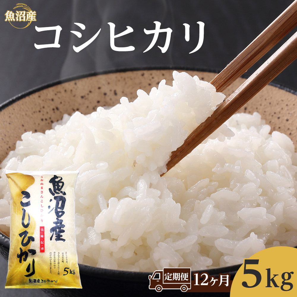 【12ヶ月定期便】魚沼産コシヒカリ 5kg 1回目は注文確認後1週間以内に発送|新潟県 魚沼 こしひかり 令和7年産新潟県244000米・パン白米