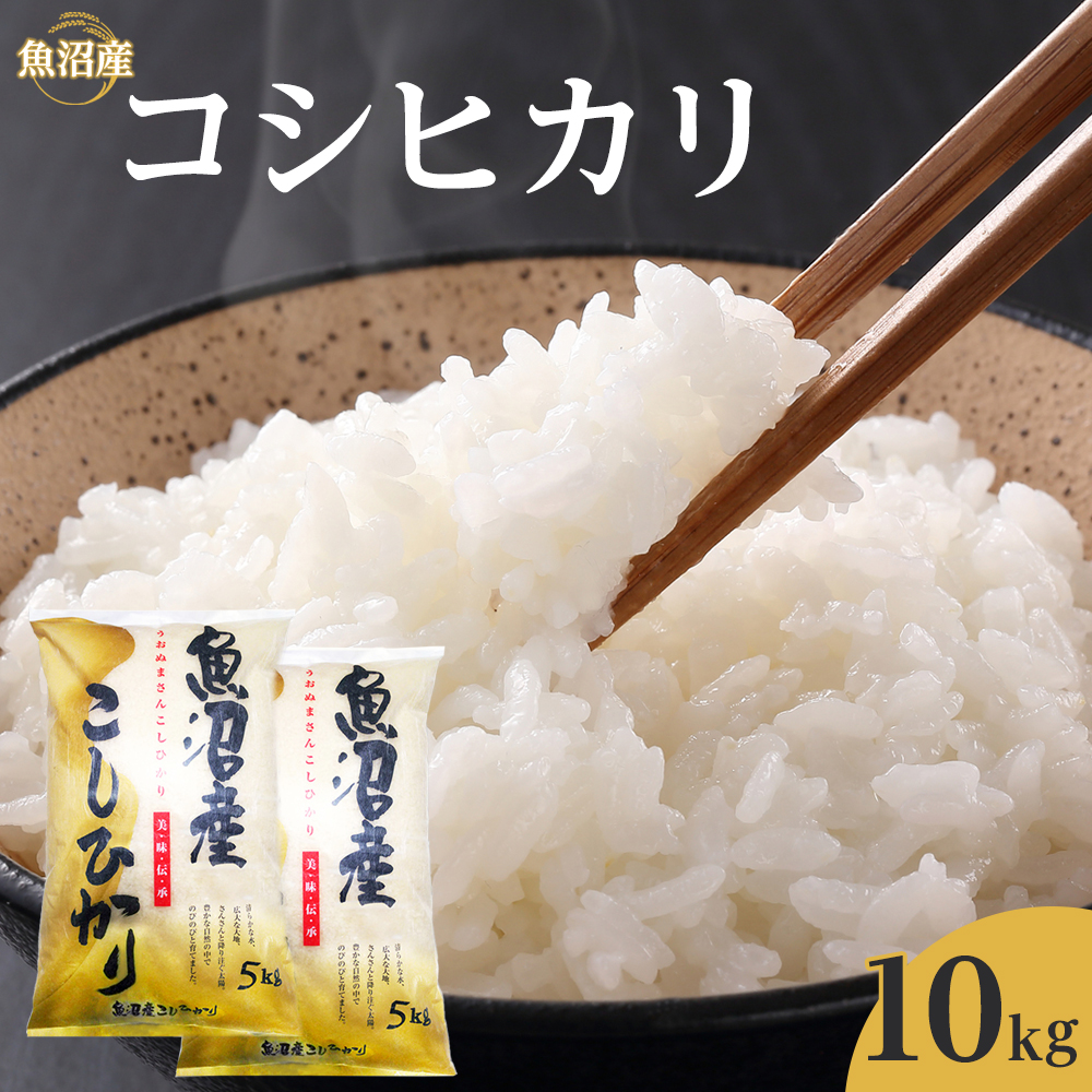 令和7年産魚沼産コシヒカリ 10kg 2025年10月〜発送開始|新潟県 魚沼 こしひかり 令和7年産新潟県42000米・パン白米