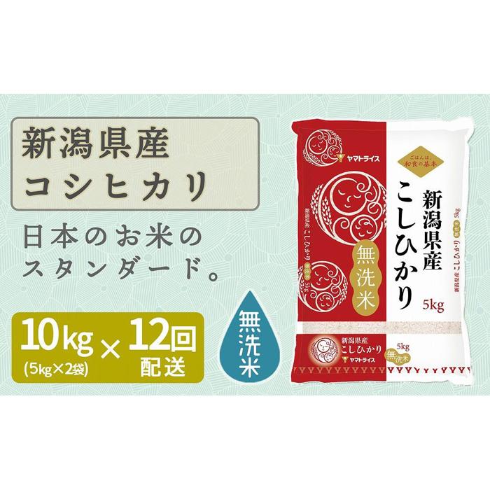 【定期便全12回】無洗米新潟県産コシヒカリ10kg(受注の翌月から毎月配送)|新潟県 新潟 無洗米 こしひかり 米 おこめ お米新潟県396000米・パン無洗米