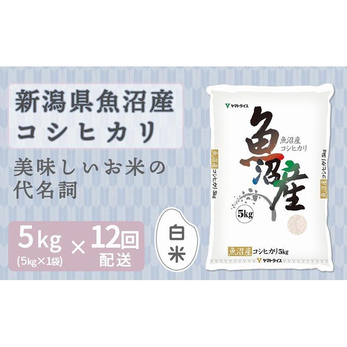 【定期便全12回】新潟県魚沼産コシヒカリ5kg(受注の翌月から毎月配送)|新潟県 新潟 魚沼 こしひかり 米 おこめ お米新潟県216000米・パン白米
