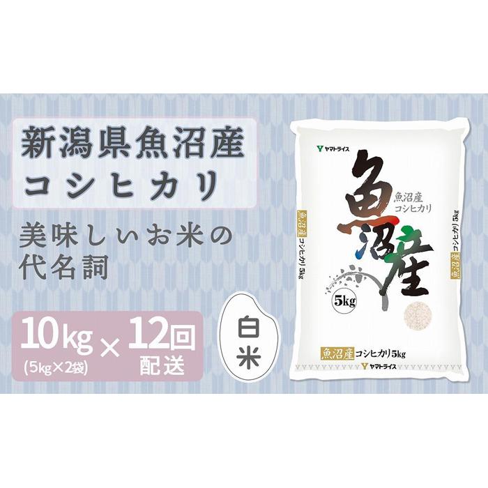 【定期便全12回】新潟県魚沼産コシヒカリ10kg(受注の翌月から毎月配送)|新潟県 新潟 魚沼 こしひかり 米 おこめ お米新潟県420000米・パン白米