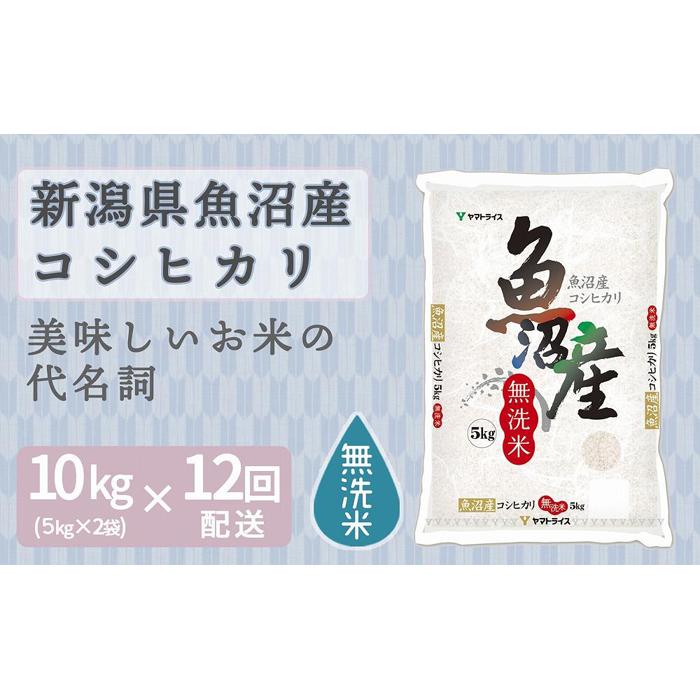 【定期便全12回】無洗米新潟県魚沼産コシヒカリ10kg(受注の翌月から毎月配送)|新潟県 新潟 魚沼 無洗米 こしひかり 米 おこめ お米新潟県420000米・パン無洗米