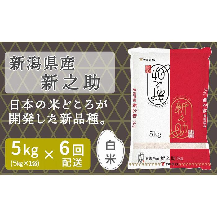 y֑S6zVYVV5kgi󒍂̗疈zjbV@V@ā@߁@ĐV102000āEp