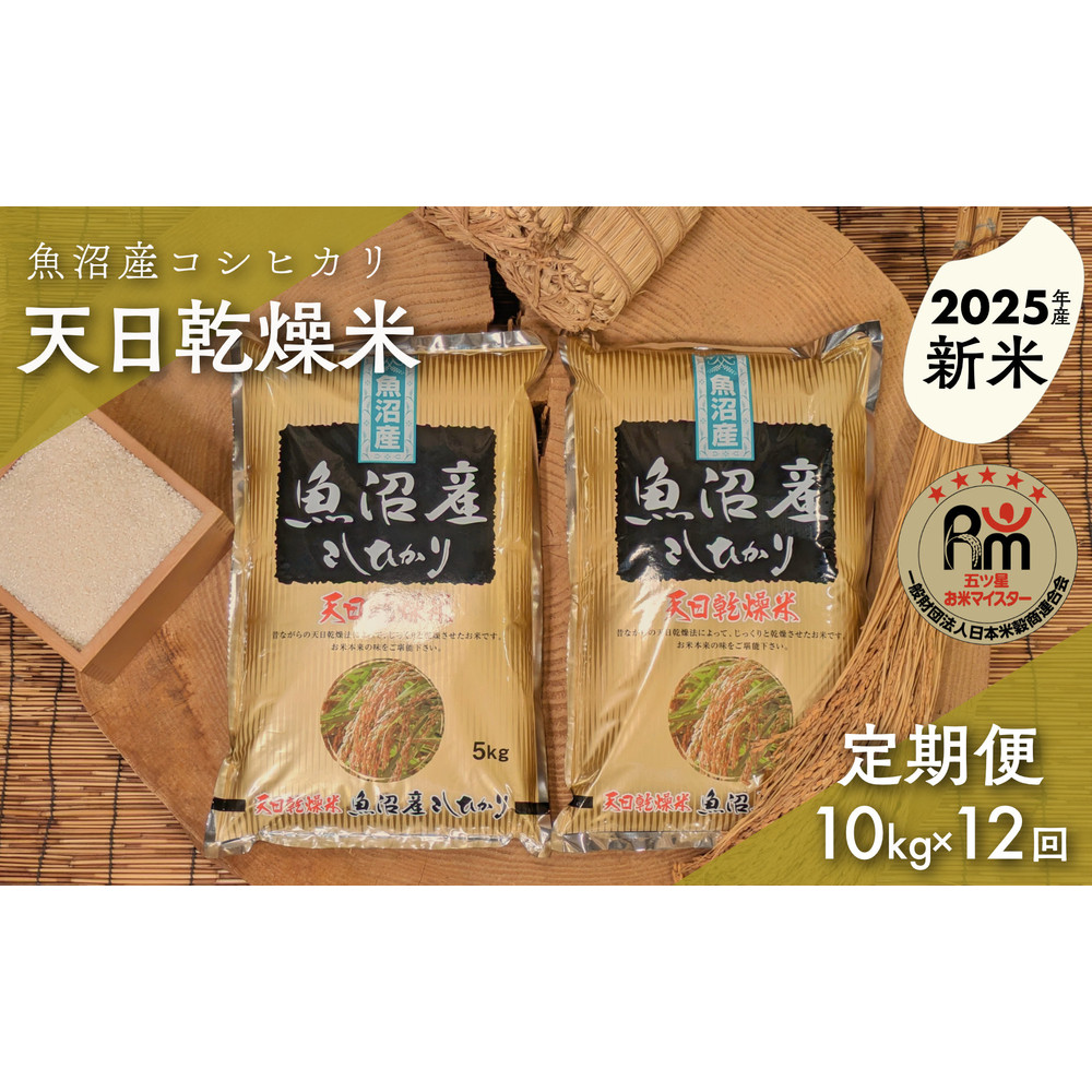 【新米】【毎月定期便】令和7年産「五つ星お米マイスター」厳選 天日干し魚沼産コシヒカリ 精米10kg(5kg×2個)×12回新潟県671000米・パン白米