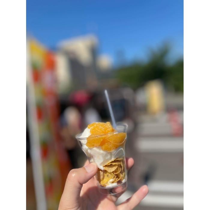 柿色鮮やか!まるごと柿ソース(1袋)&柿ジェラート(6個)新潟県12000菓子・スイーツアイス・ジェラート
