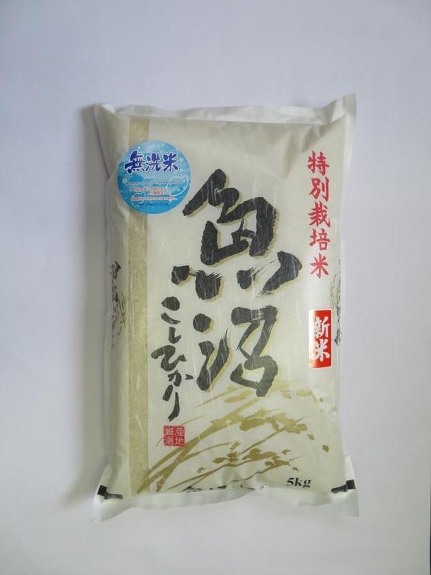 令和7年産【定期便3か月コース】無洗米 魚沼産コシヒカリ特別栽培米 5kg新潟県60000米・パン無洗米