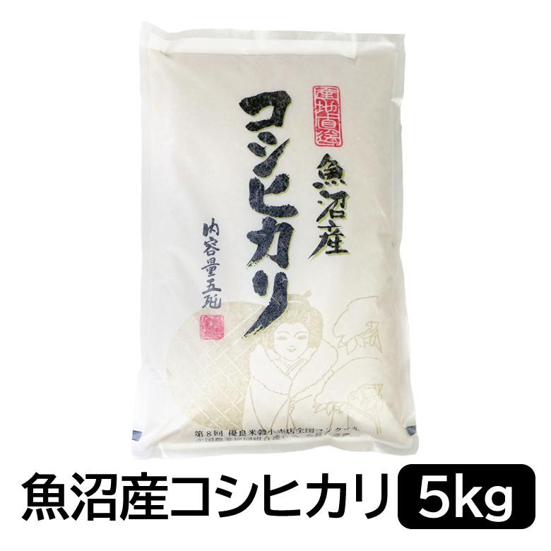 お米マイスター厳選!魚沼産コシヒカリ5kg×12ヶ月毎月発送 定期便新潟県216000米・パン白米