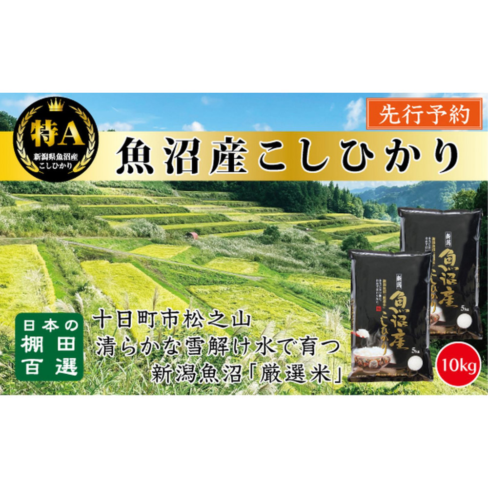 【令和7年産新米予約】【食味鑑定士厳選】 日本の棚田百選 新潟県十日町(魚沼)産 コシヒカリ10kg(5kg×2)新潟県40000米・パン白米