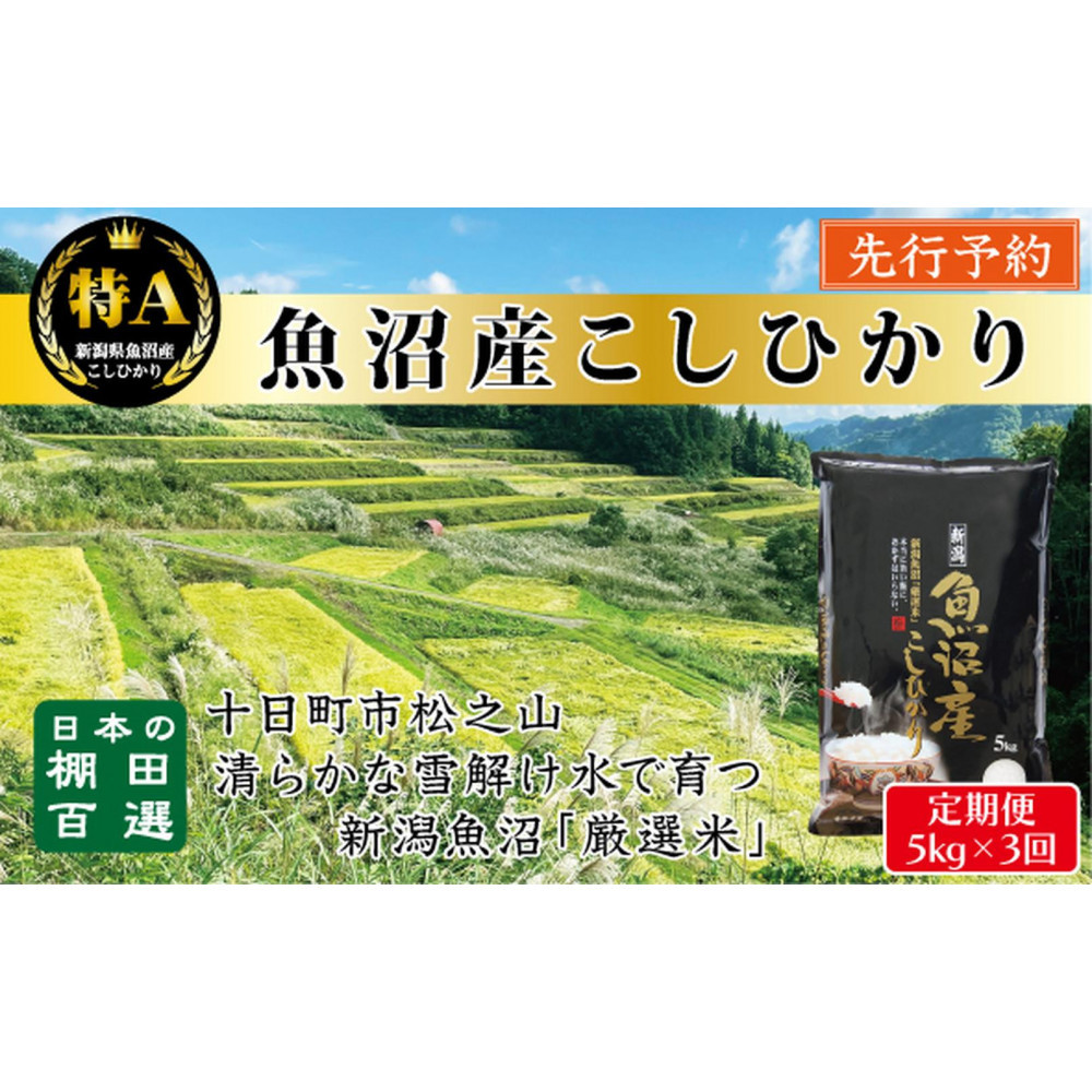 【令和7年産新米予約】【3か月定期便】10月発送開始《食味鑑定士厳選》日本棚田百選・十日町(魚沼)産こしひかり 5kg全3回新潟県60000米・パン白米