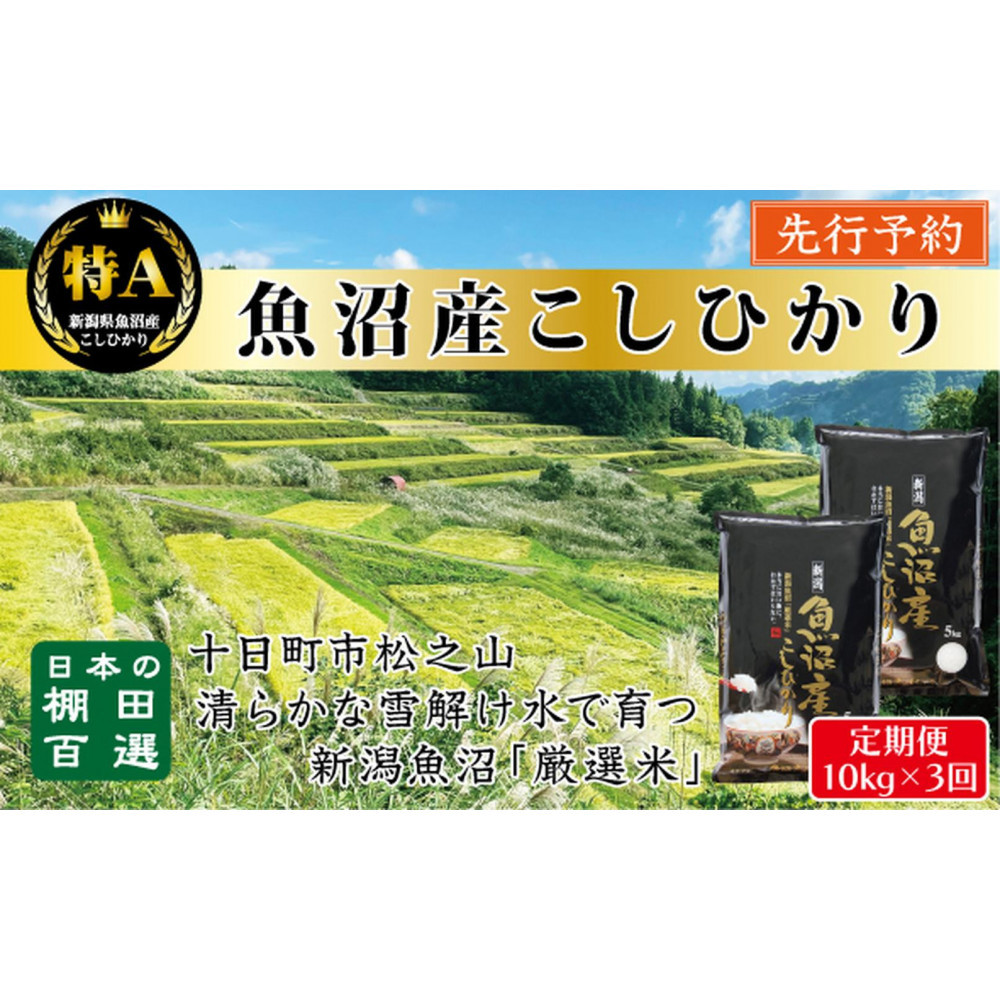 【令和7年産新米予約】【3か月定期便】10月発送開始《食味鑑定士厳選》日本棚田百選・十日町(魚沼)産こしひかり 10kg全3回新潟県120000米・パン白米