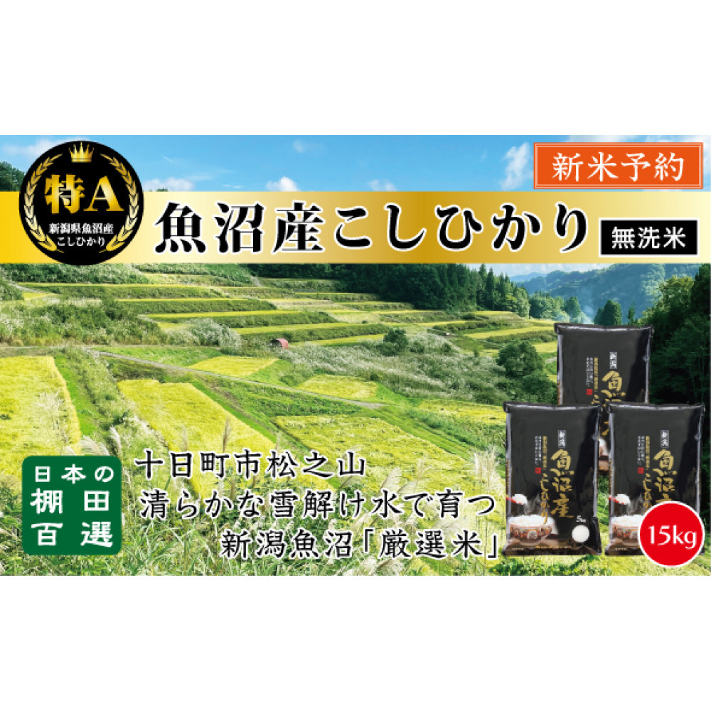 【無洗米】【令和7年産新米予約】【食味鑑定士厳選】 日本の棚田百選 新潟県十日町(魚沼)産 コシヒカリ15kg(5kg×3)新潟県63000米・パン白米