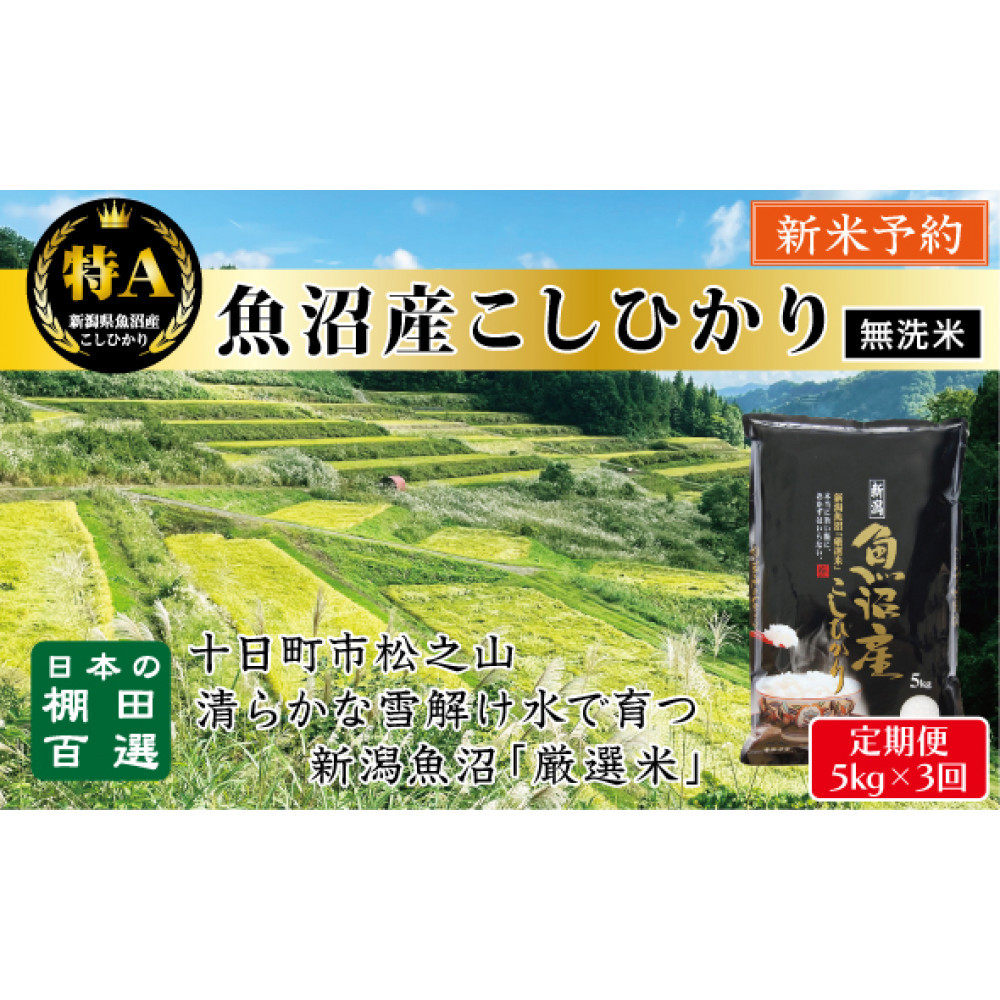 【無洗米】【令和7年産新米予約】【3か月定期便】10月発送開始《食味鑑定士厳選》日本棚田百選・十日町(魚沼)産こしひかり 5kg全3回新潟県63000米・パン白米