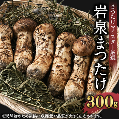 岩泉まつたけ 300g【配送不可地域:離島】【1421529】岩手県岩泉町110000野菜・きのこきのこ