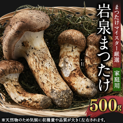 【自家用】岩泉まつたけ 500g【配送不可地域:離島】【1421552】岩手県岩泉町140000野菜・きのこきのこ
