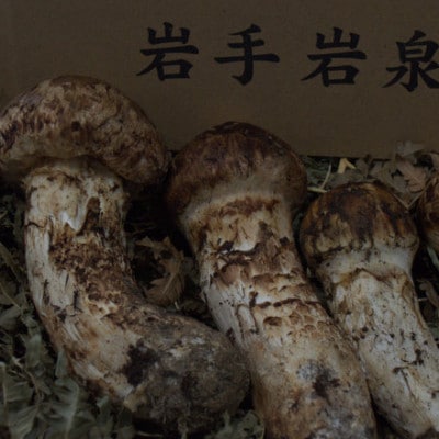 岩泉産朝採り松茸300g【配送不可地域:離島】【1422859】岩手県岩泉町118000野菜・きのこきのこ