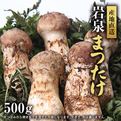岩泉まつたけ 直送 500g【配送不可地域:離島】【1423376】岩手県岩泉町180000野菜・きのこきのこ
