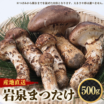 ≪産地直送≫ 岩泉まつたけ  500g【配送不可地域:離島】【1423715】岩手県岩泉町175000野菜・きのこきのこ