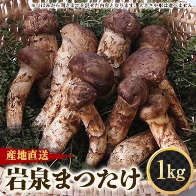 ≪産地直送≫ 岩泉まつたけ  1kg【配送不可地域:離島】【1423716】岩手県岩泉町350000野菜・きのこきのこ