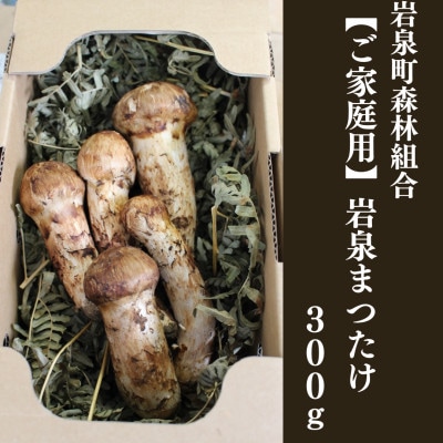 ≪ご家庭用に≫ 岩泉まつたけ  300g【配送不可地域:離島】【1424099】岩手県岩泉町85000野菜・きのこきのこ