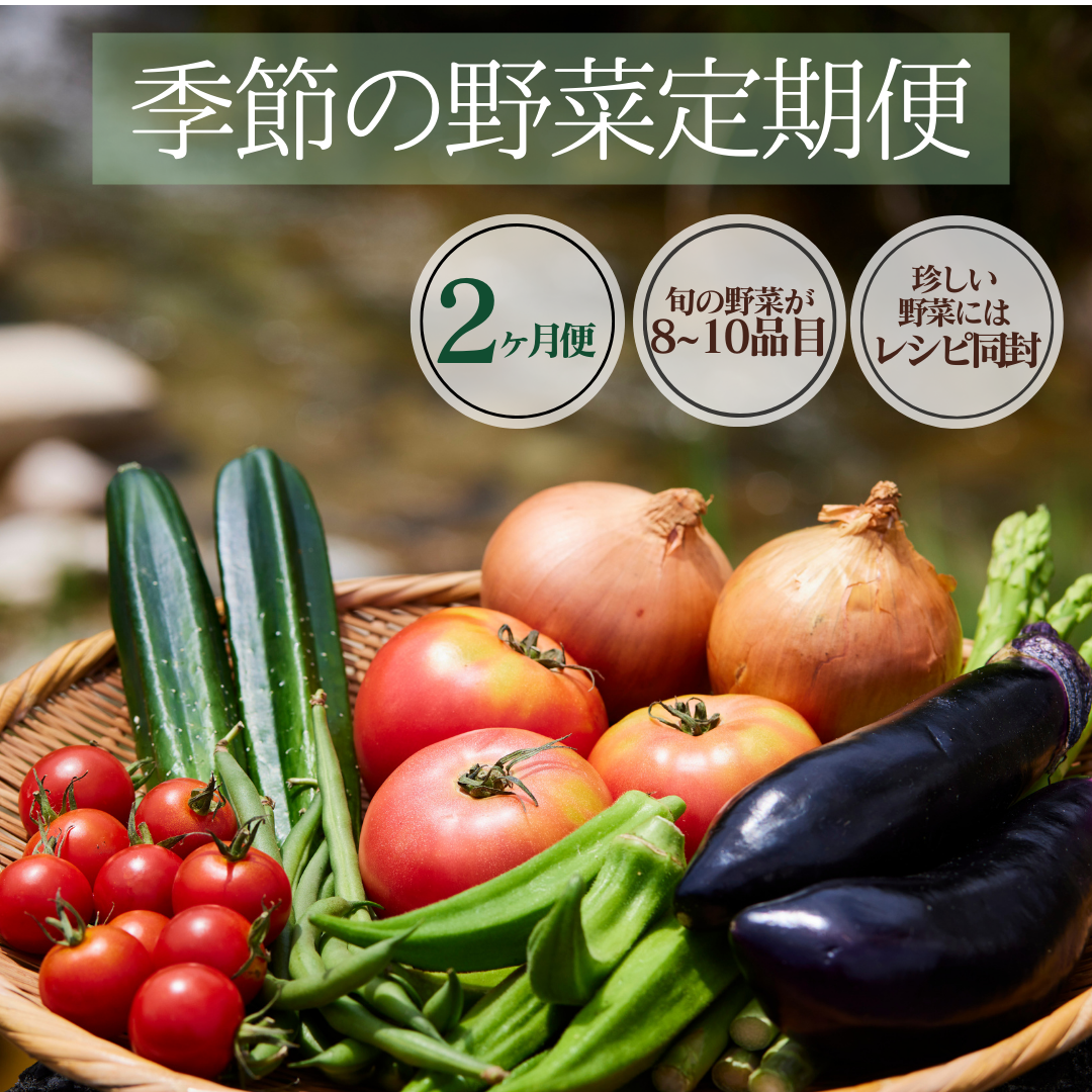 湯の花 季節の野菜定期便2ヶ月 【2ヶ月 定期便 旬 野菜 セット 人気 春野菜 夏野菜 秋野菜 冬野菜】静岡県南伊豆町16000野菜・きのこ