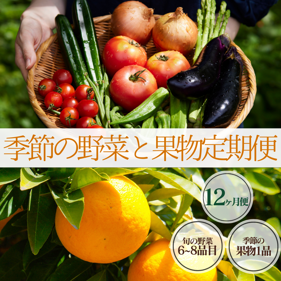 湯の花 季節の野菜と果物定期便12ヶ月 【12ヶ月 定期便 旬 野菜 果物 セット 柑橘 春野菜 夏野菜 秋野菜 冬野菜 人気 】静岡県南伊豆町96000野菜・きのこ