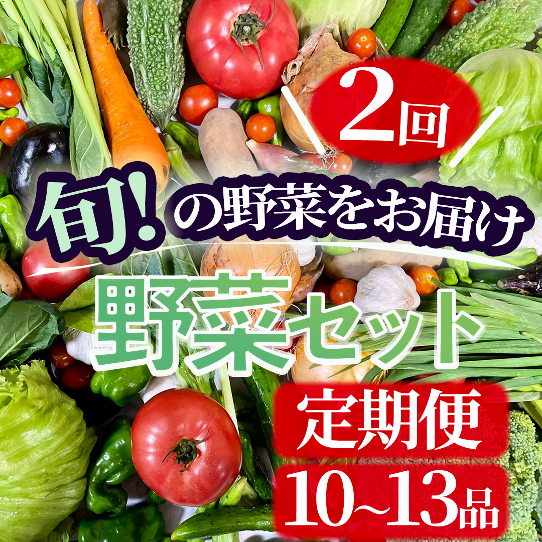 湯の花 旬の野菜セット2か月間の定期便 【野菜  定期便 セット 人気 詰め合わせ 2ヵ月 おまかせ 新鮮 やさい】静岡県南伊豆町23000野菜・きのこその他 野菜