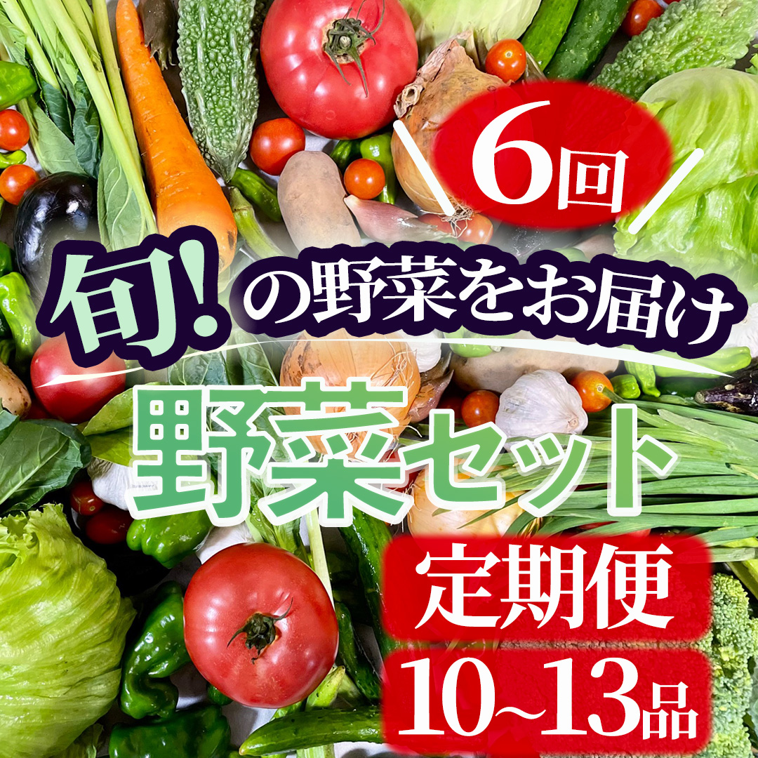 湯の花 旬の野菜セット半年間の定期便 【野菜 定期便 セット 人気 詰め合わせ 6ヵ月 おまかせ 新鮮 やさい】静岡県南伊豆町66000野菜・きのこ