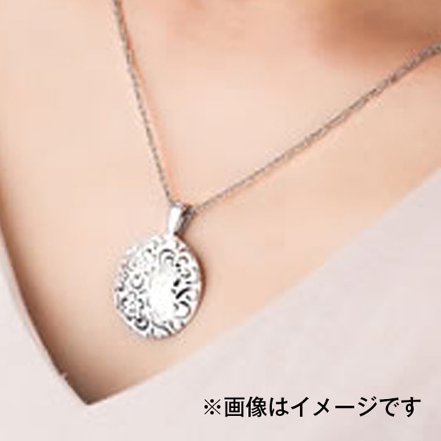 [legeriWGj] `^lbNX ԋ(ni_}) Eԁy052P006zVOs51000ߗށEiEH|iANZT[