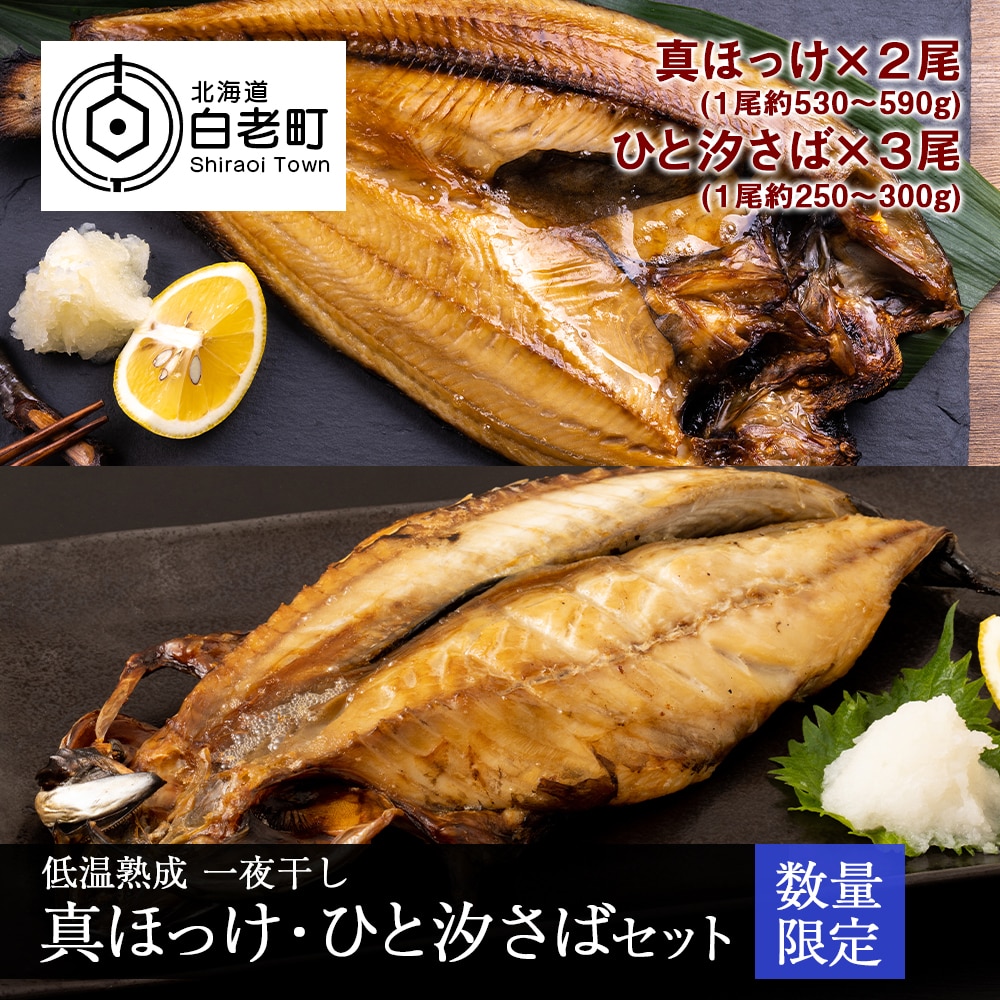 低温熟成 一夜干し 真ほっけ・ひと汐さば セット北海道白老町22000魚介・海産物干物