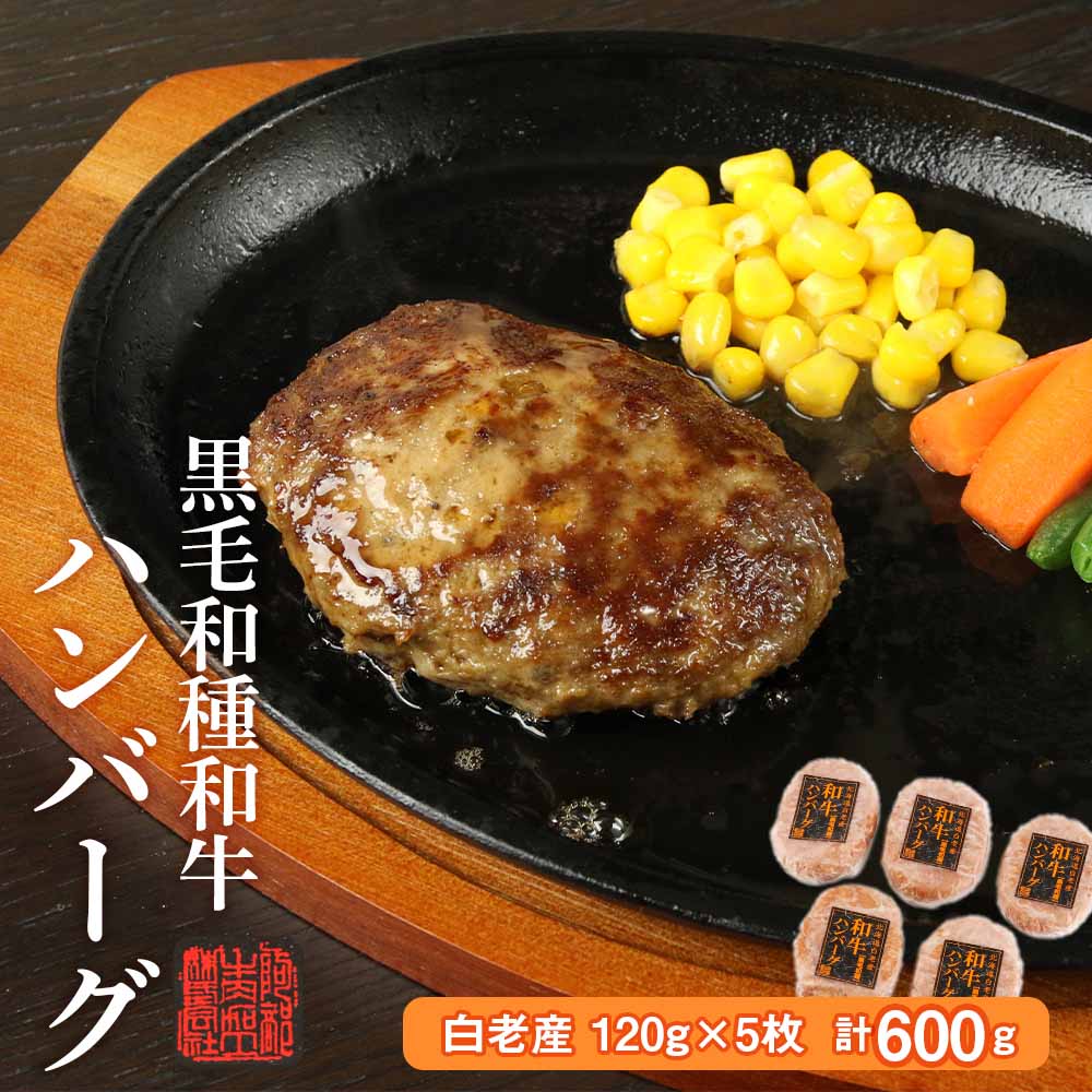 白老産 黒毛和牛ハンバーグ北海道白老町15000肉加工肉(ハム・ソーセージ等)