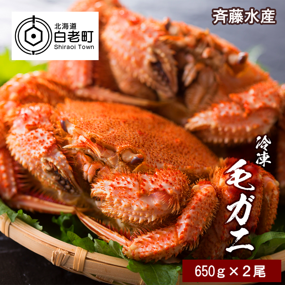 大サイズ!冷凍毛がに約650g×2尾【斉藤水産】北海道白老町55000魚介・海産物カニ