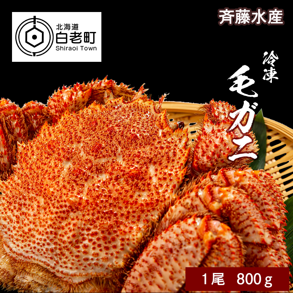 特大サイズ!冷凍毛がに約800g×1尾【斉藤水産】北海道白老町32000魚介・海産物カニ