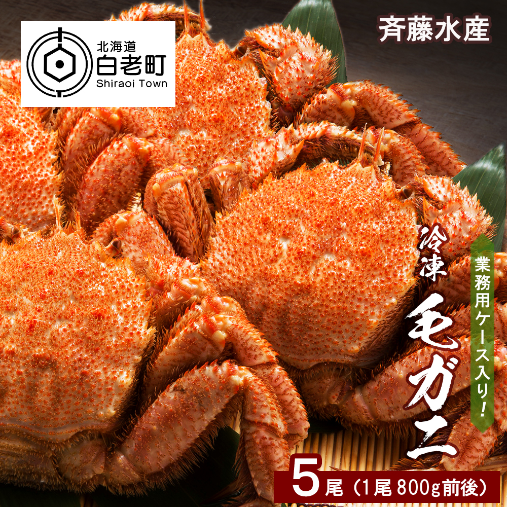 業務用ケース入り!冷凍毛がに 特大サイズ 5尾(1尾800g前後)北海道白老町151000魚介・海産物カニ