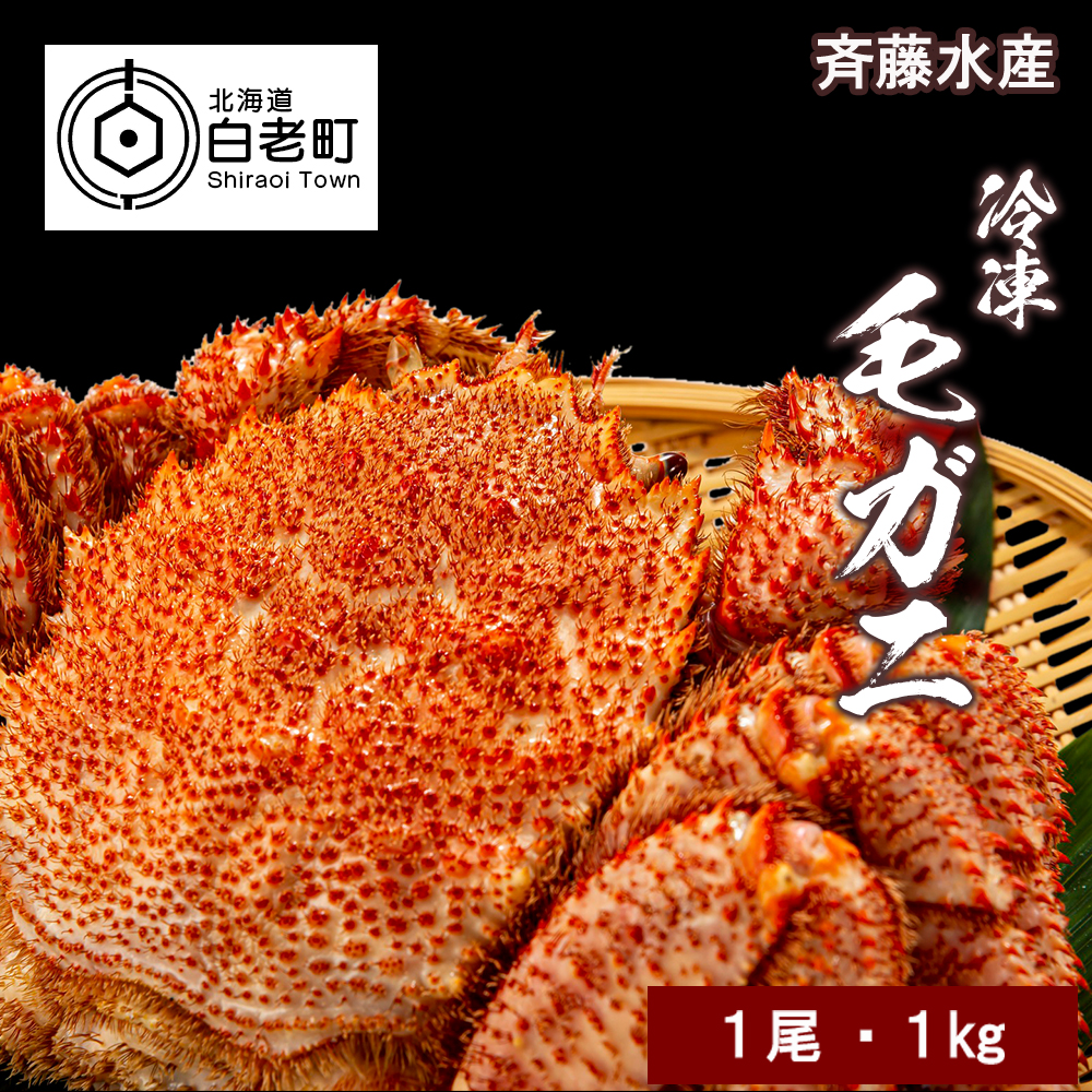特特大サイズ!冷凍毛がに約1kg×1尾【斉藤水産】北海道白老町39000魚介・海産物カニ